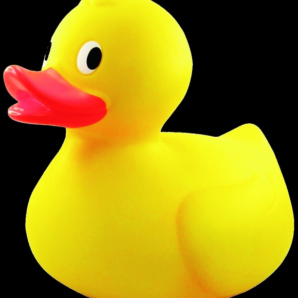 joycethvedt